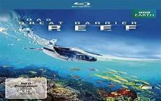 海洋纪录片中文解说